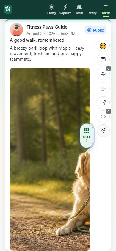 Feed action rail for reactions, comments, messages, details, reposting, and sharing